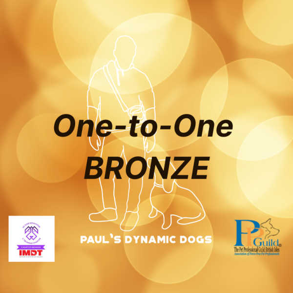 One to One Bronze