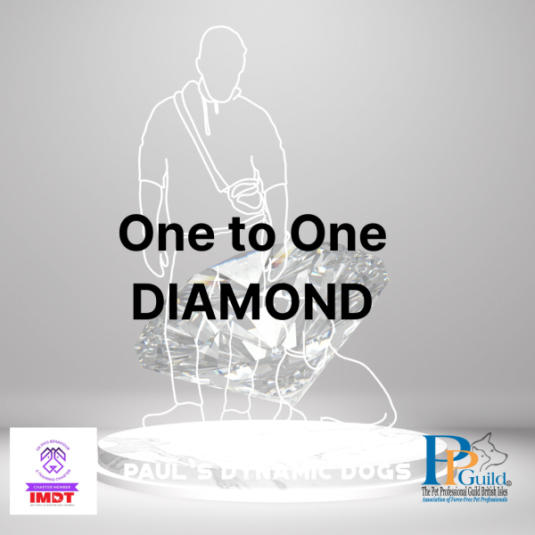 One to One Diamond