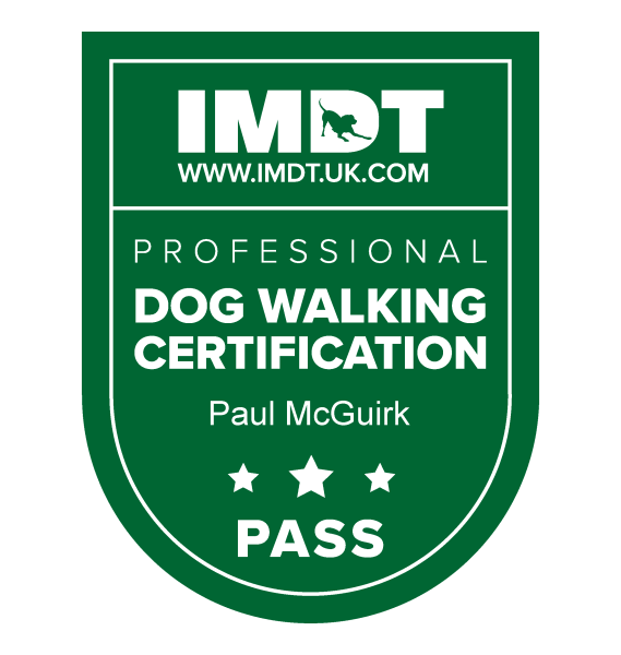 Dog Walking Services