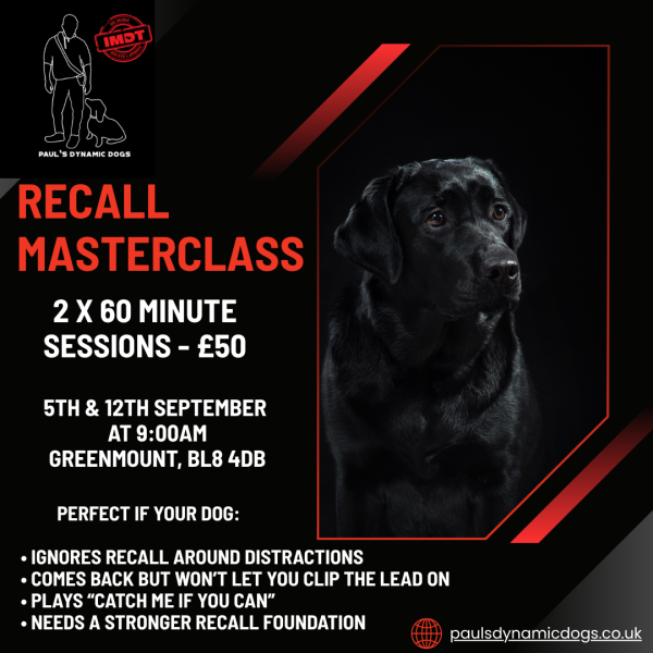 Recall Workshop