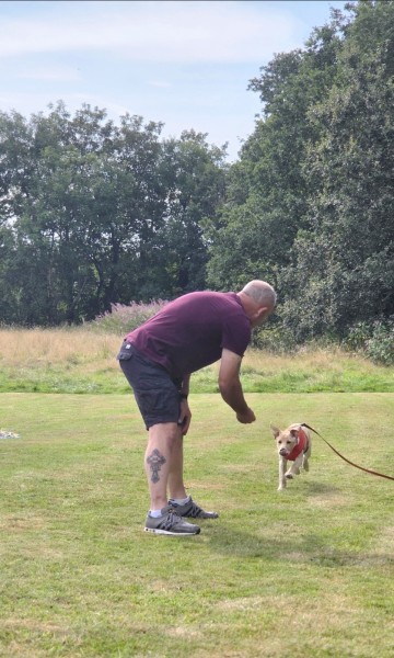Come Back to Me | Dog Recall Training