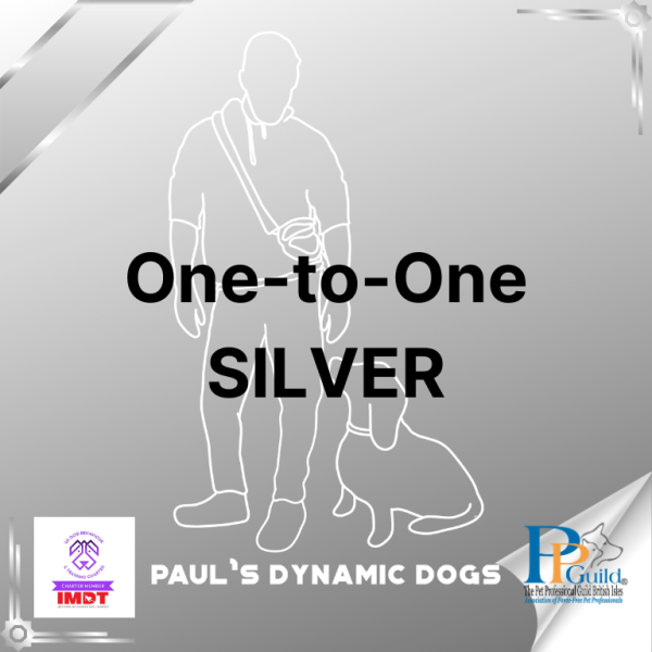 One-to-One Silver
